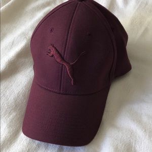 Puma Fitted Baseball Hat